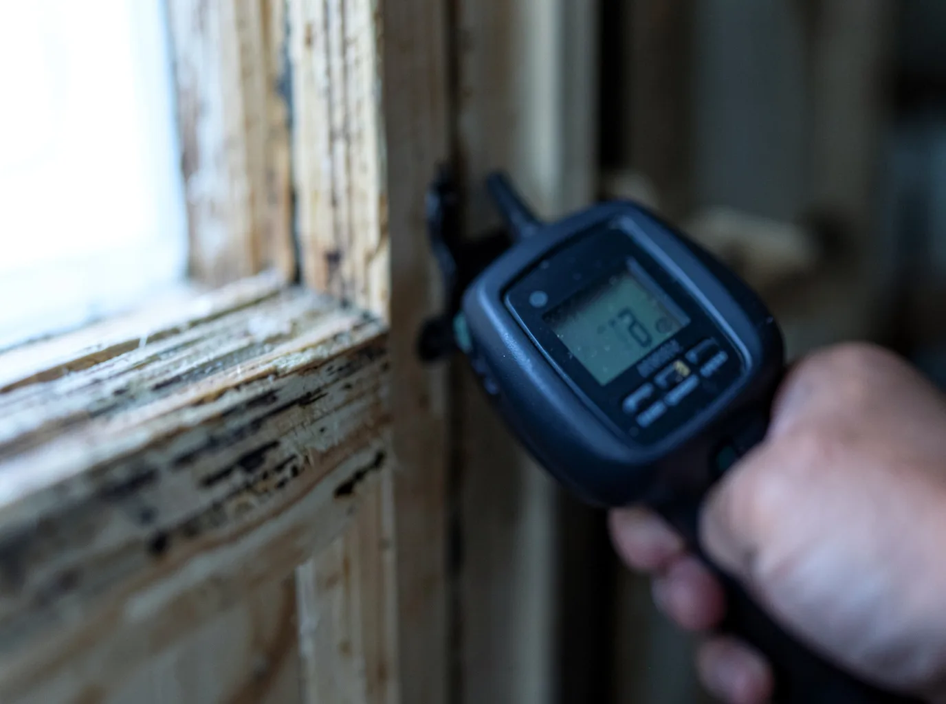 Moisture Inspection And Documentation in Point Of Rocks, WY